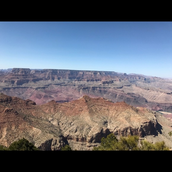 Meet your Posher, Will - Picture 1 of 1